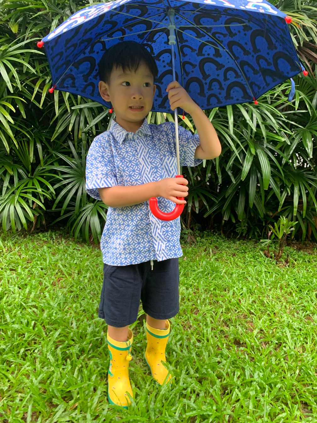 Boy wearing a modern blue batik shirt with an umbrella